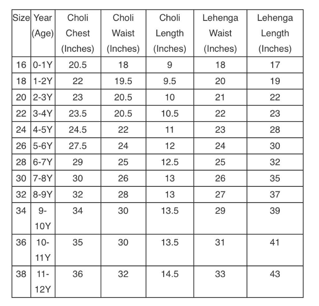 Premium Quality A Line Lehenga Choli - Inayah Fashion